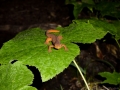 p1070145