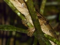 p1050842_800x600