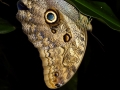 p1060030_800x600