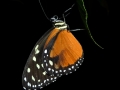 p1060054_800x600