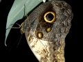 p1060058_800x600