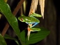 p1060062_800x600