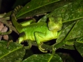 p1060071_800x600