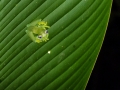 p1060083_800x600
