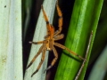 p1060110_800x600