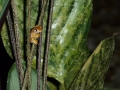 p1060113_800x600