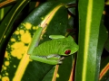 p1050099_800x600