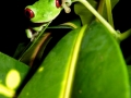 p1050101_800x600