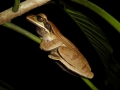 p1050104_800x600