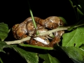 p1050108_800x600