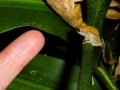 p1050111_800x600