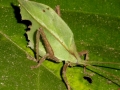 p1050116_800x600