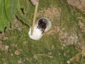 p1050119_800x600