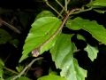 p1050160_800x600