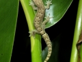 p1050165_800x600