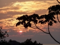 p1050314_800x600