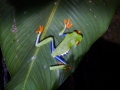 p1050423_800x600