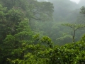 p1050469_800x600