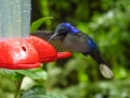 p1050529_800x600