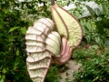 p1050561_800x600