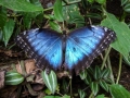 p1050567_800x600