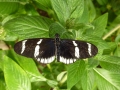 p1050577_800x600