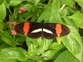 p1050578_800x600