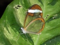 p1050589_800x600