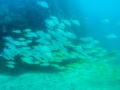 p1040922_800x600