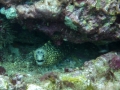 p1040972_800x600