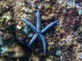 p1040989_800x600