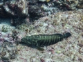p1040992_800x600