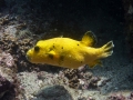 p1050003_800x600