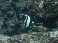 p1050006_800x600