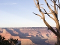 crw_4071_outdoorlens