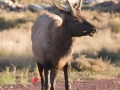 crw_4137_outdoorlens
