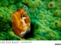 maxmacro_7580869086_1114fa264c_b
