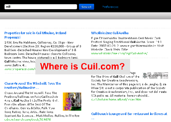 Cuil Doesn't Know About Cuil