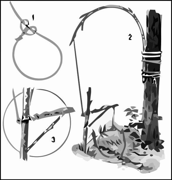 How To Make Traps And Snares For Survival Pdf