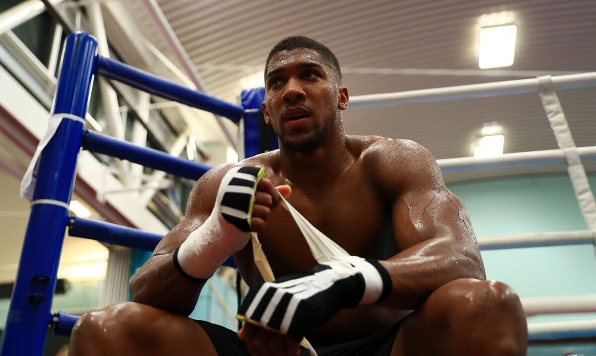 Boxer