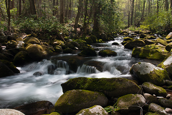 Cascades in the Great Smoky Mountains