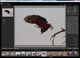Adobe Lightroom Screenshot