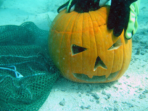 One Scuba Diver and One Pumpkin
