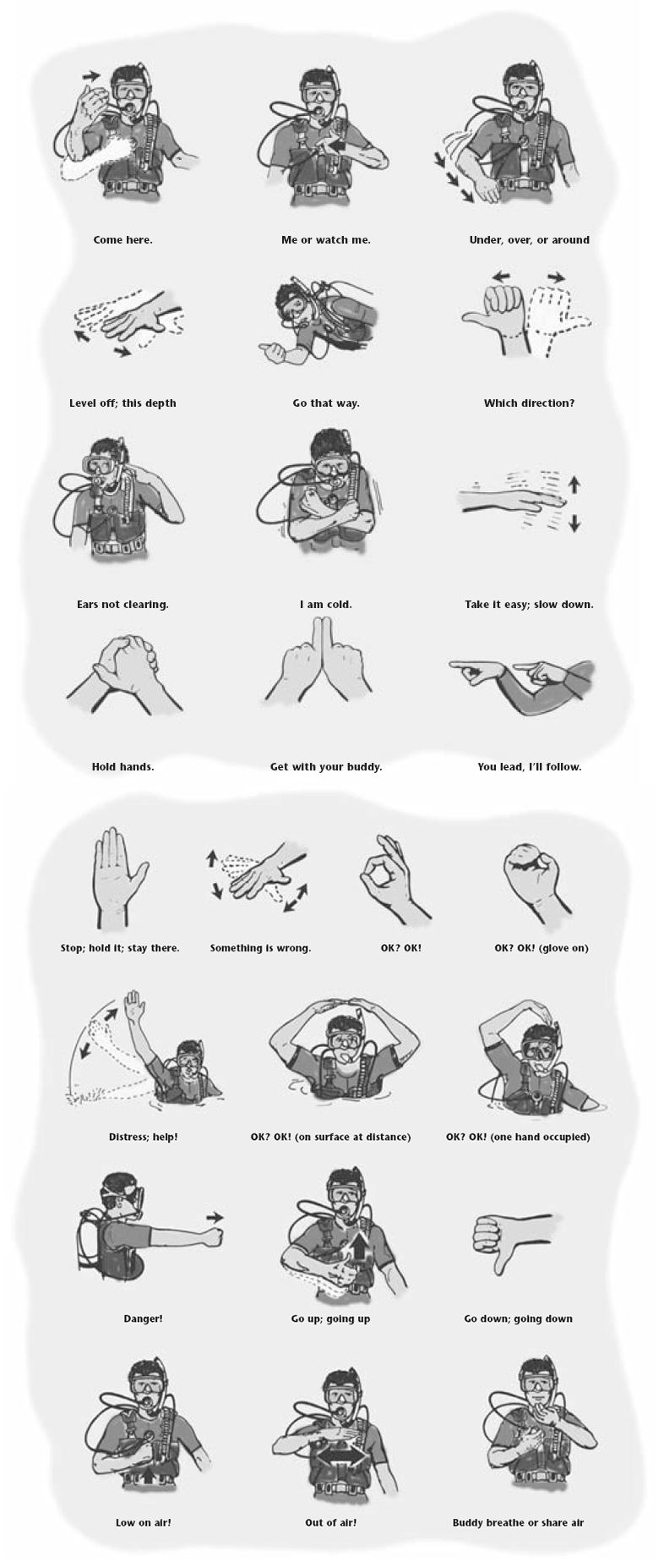 Hand Signals Scuba Diving PADI Hand Signals YJDYB