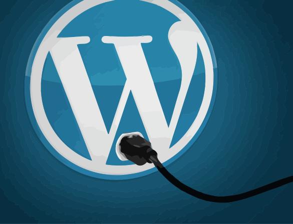 Wordpress with Plug