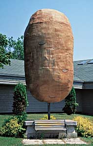Giant Potato