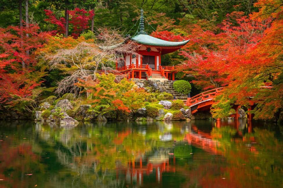 Finding The Best Vacation Packages To Japan Plan Your Trip To Japan