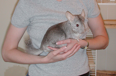 Kris Selnar