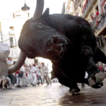 Bull Charges Camera